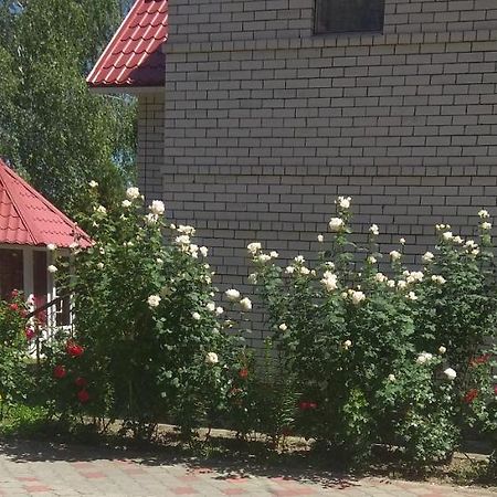 Отель Тропикана Светловодск Экстерьер фото