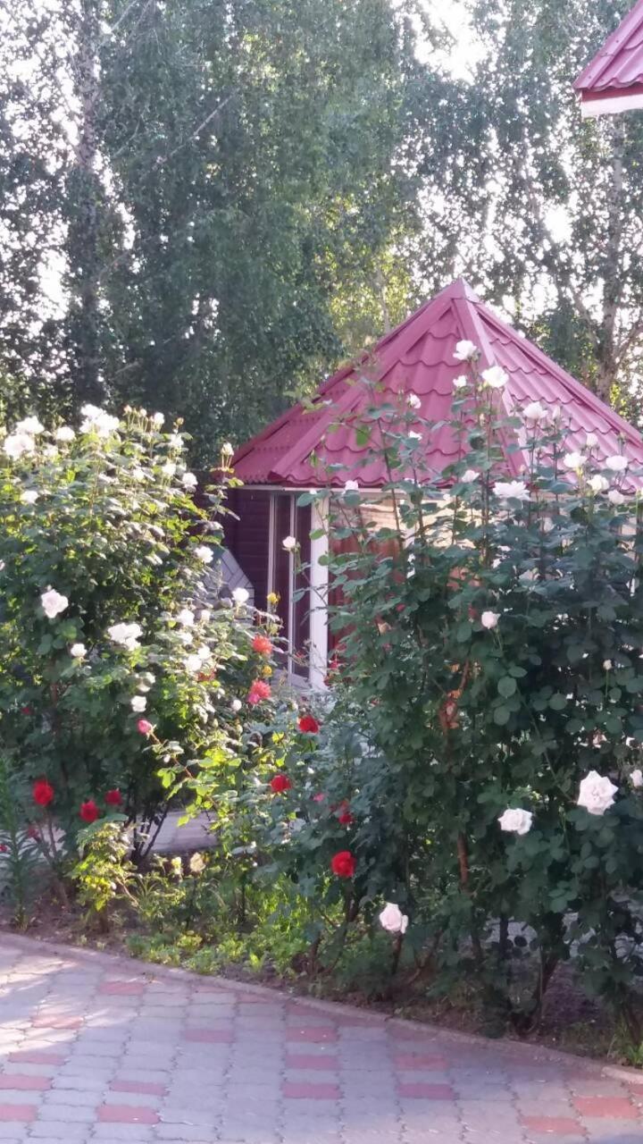 Отель Тропикана Светловодск Экстерьер фото