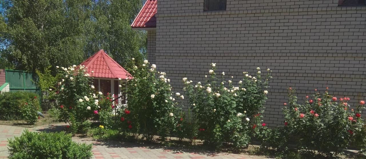Отель Тропикана Светловодск Экстерьер фото